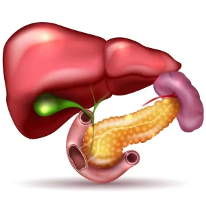 djt gallbladder 1 1024x1024